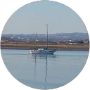 JORGE ESTRELLA G. profile picture